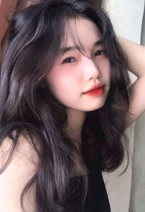 免费论理片